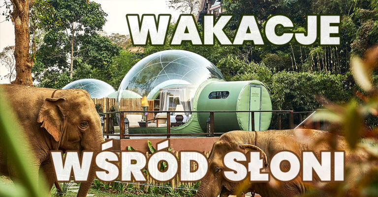 Wakacje wśród słoni