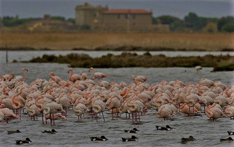 laguna di orbetello Niezwykłe miejsca w Europie. Włochy niezwykłe miejsca
