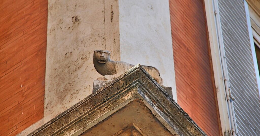 supercat kot superbohater