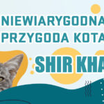niewiarygodna historia przygoda kota