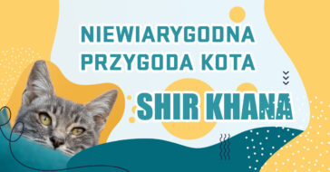 niewiarygodna historia przygoda kota