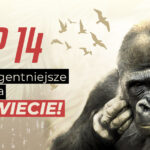 Zwierzęta są często mądrzejsze od niejednego człowieka, ale czy są inteligentne? Poznaj najinteligentniejsze i najmądrzejsze zwierzęta na świecie. najmądrzejsze zwierzę na świecie najinteligentniejsze zwierzęta inteligentne