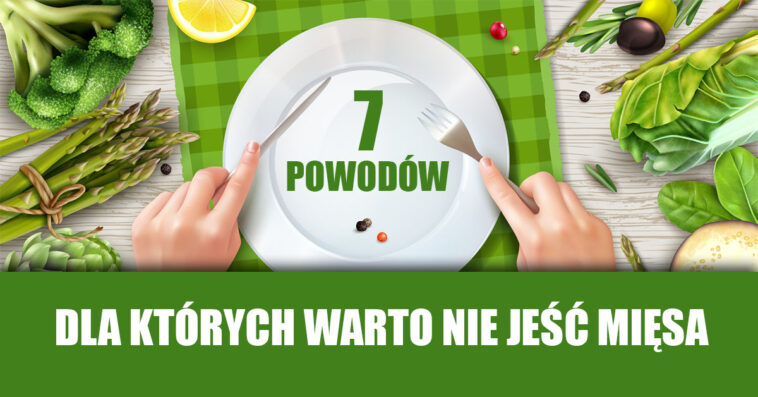 dlaczego nie jeść mięsa dlaczego mięso jest niezdrowe dlaczego nie warto jeść mięsa zalety wegetarianizmu