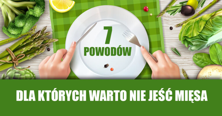 dlaczego nie jeść mięsa dlaczego mięso jest niezdrowe dlaczego nie warto jeść mięsa zalety wegetarianizmu