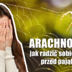 Arachnofobia strach przed pająkami lęk przed pająkami