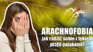Arachnofobia strach przed pająkami lęk przed pająkami