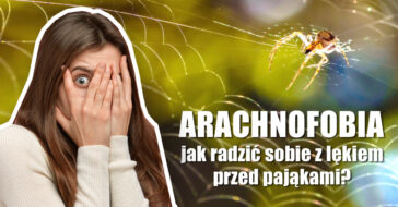 Arachnofobia strach przed pająkami lęk przed pająkami