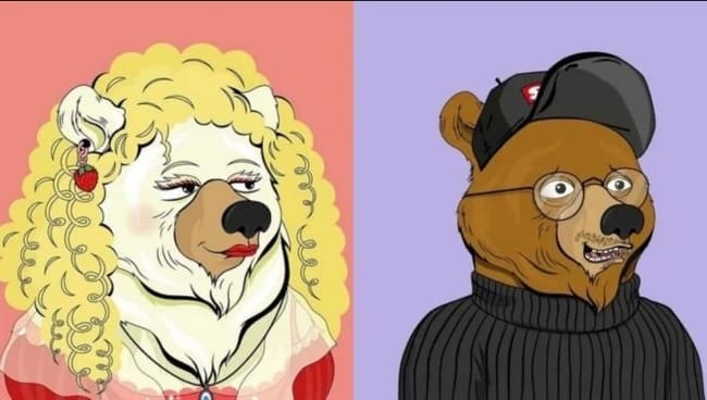 NFT niewymienialny token magda gessler krzysztof gonciarz miś misie mis