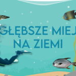 Najgłębsze miejsca na Ziemi to wielka tajemnica. Nie każdy zakątek oceanu jest jeszcze znany. Teraz pokażemy Ci 6 najgłębszych z nich.