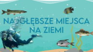 Najgłębsze miejsca na Ziemi to wielka tajemnica. Nie każdy zakątek oceanu jest jeszcze znany. Teraz pokażemy Ci 6 najgłębszych z nich.