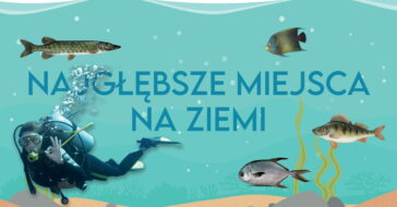 Najgłębsze miejsca na Ziemi to wielka tajemnica. Nie każdy zakątek oceanu jest jeszcze znany. Teraz pokażemy Ci 6 najgłębszych z nich.