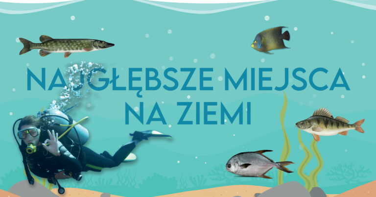 Najgłębsze miejsca na Ziemi to wielka tajemnica. Nie każdy zakątek oceanu jest jeszcze znany. Teraz pokażemy Ci 6 najgłębszych z nich.