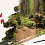 Lista Światowego Dziedzictwa UNESCO wymienia też wiele miejsc w Stanach Zjednoczonych. Co zwiedzić w USA? Zobacz, co powie na ten temat lista UNESCO!