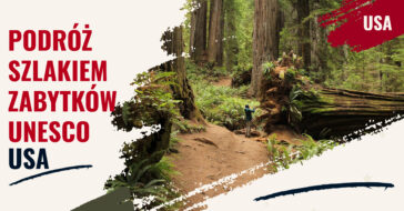 Lista Światowego Dziedzictwa UNESCO wymienia też wiele miejsc w Stanach Zjednoczonych. Co zwiedzić w USA? Zobacz, co powie na ten temat lista UNESCO!