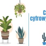 Nadmierne poleganie na technologii wywołuje stres albo nawet uzależnienie od Internetu. Dlaczego warto zdecydować się na cyfrowy detoks czy digital detox?