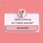 Myślisz nad adopcją pupila, ale zastanawiasz się, jakie zwierzę do Ciebie pasuje? Przeczytaj nasze wskazówki, jakie zwierzę wybrać!