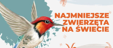Czy wiesz jakie są najmniejsze zwierzeta na świecie? Jak wyglądają, gdzie występują. Dowiedz się więcej o tym, jakie są najmniejsze zwierzeta swiata.