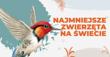 Czy wiesz jakie są najmniejsze zwierzeta na świecie? Jak wyglądają, gdzie występują. Dowiedz się więcej o tym, jakie są najmniejsze zwierzeta swiata.