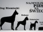 Czy zastanawiałeś się kiedyś które rasy psów są najmniejsze na świecie, albo skąd pochodzą? Najmniejszy pies świata! Sprawdź naszą listę, jest ciekawa!