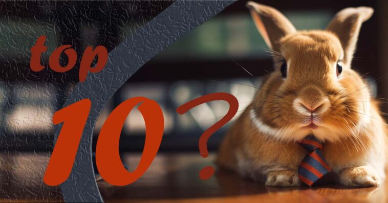 najpopularniejsze rasy królików